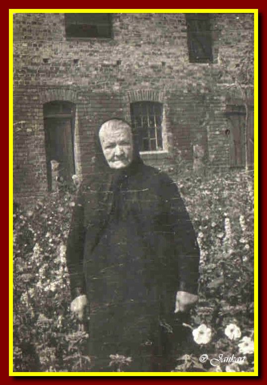 Wigienka S.